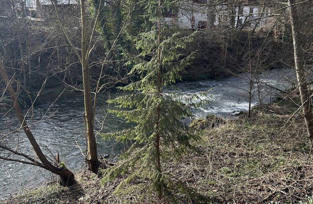 Villa am Fluss