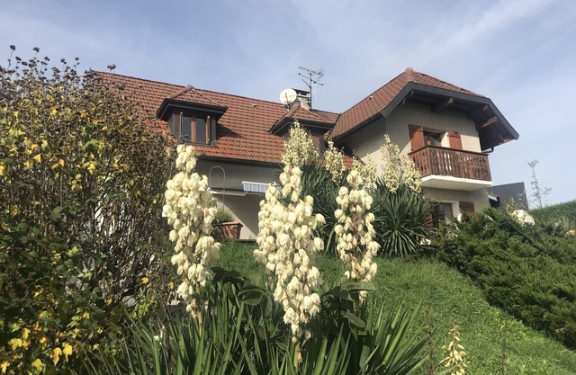 Villa BelleVue, near Lac Annecy + ski regions, new kitchen, 4 bedrooms: 8 per.,Sauna