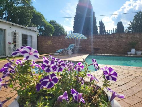 Villa Francisco Bed & Breakfast Solar Power