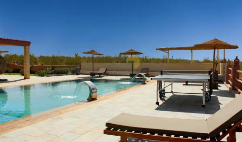 Villa in an Organic Olive Farm