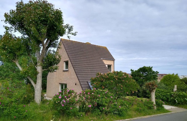 Villa Oostduinkerke, 400m sea+dunes,quiet+green+much light, 6p+baby,3bed+2bath