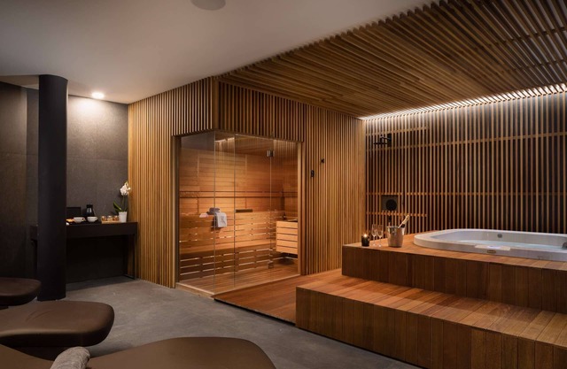Villa Ritz DaySpa - 5 star villa with a pool, spa with a Jacuzzi and sauna, gym and e-bikes