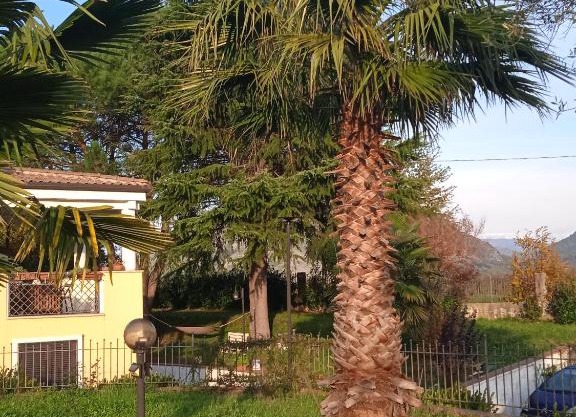 Villa Rosanna