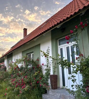 Villa Viktória