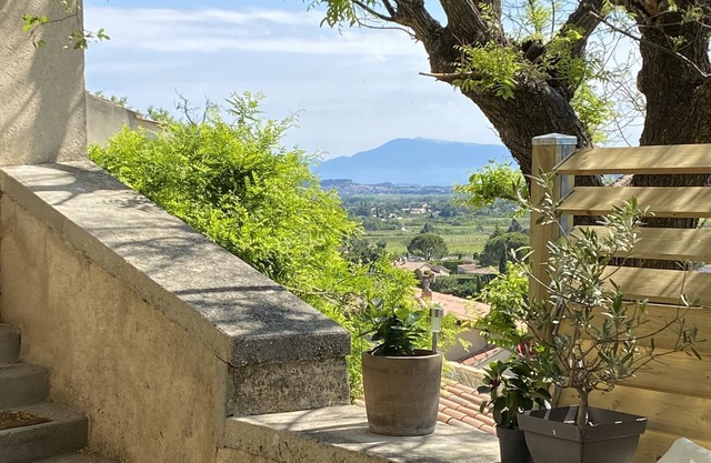 Village house in the Gard, near Avignon with terrace and garden and SPA