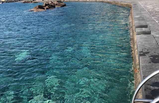 VILLALAVINIA 3, THE GARDEN ON THE SEA