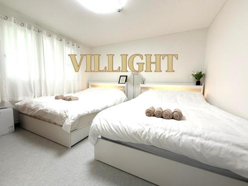 Villight