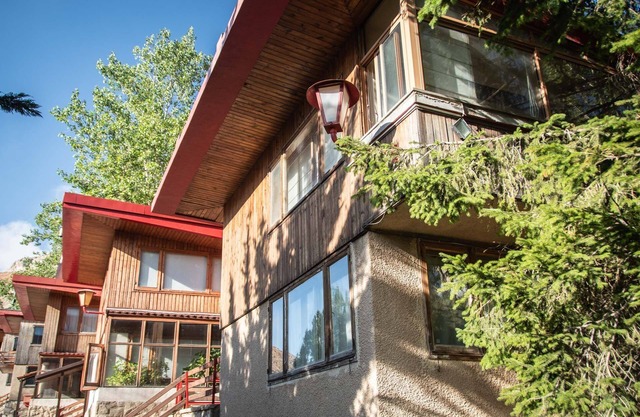 Vintage Ski & Vacation Chalet Mzaar