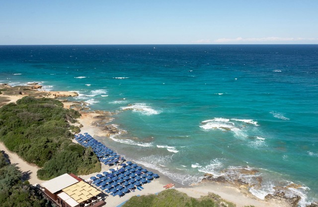 VOI Daniela Essentia