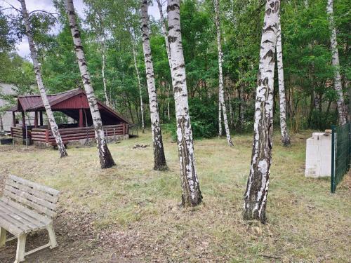 Waldcamp Hundeparadies
