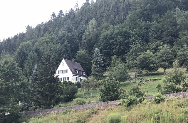 Waldglück | Stylish living with a panoramic view