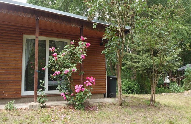 Waldhaus Halvor