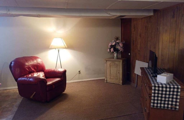Walk in basement apartment - near downtown Norfolk