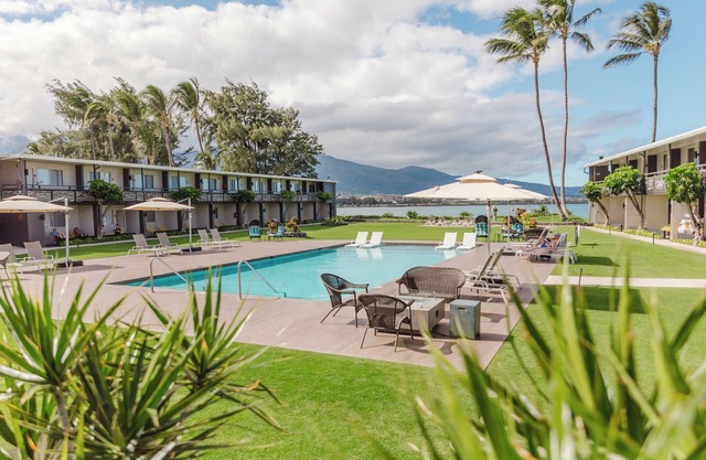Walk to Beach, Dine Nearby | Welcoming Room with Outdoor Pool & Airport Shuttle