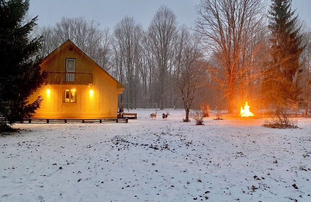 Walking distance to Betsie River & 10 minutes to Lake Michigan & Crystal Mnt!