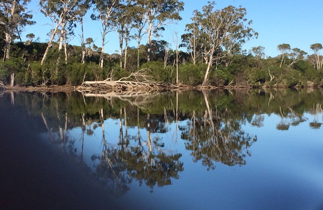 Wangrabell, on the Wallagaraugh River.