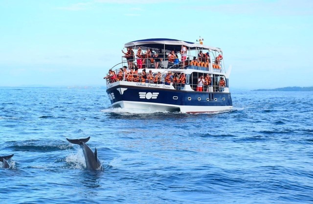 Watch The Real Whale Paradise On Earth