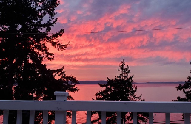Watch whales, boats and amazing sunsets - from the deck or front windows in AC!