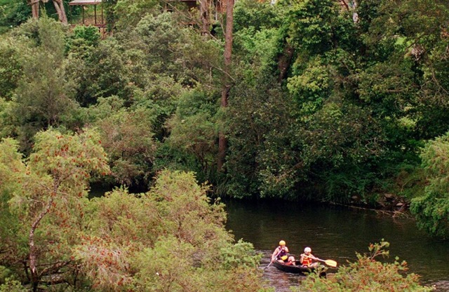Water Gums Retreat, Barrington River, Barrington Tops area, perfect for groups