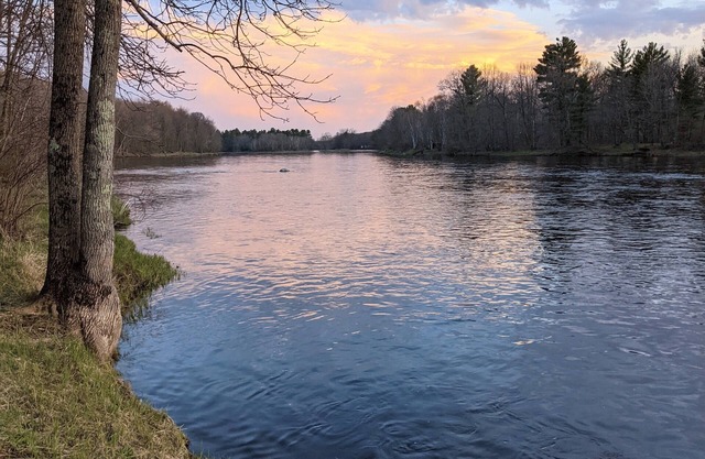 Water-n-Woods River Front Cabin