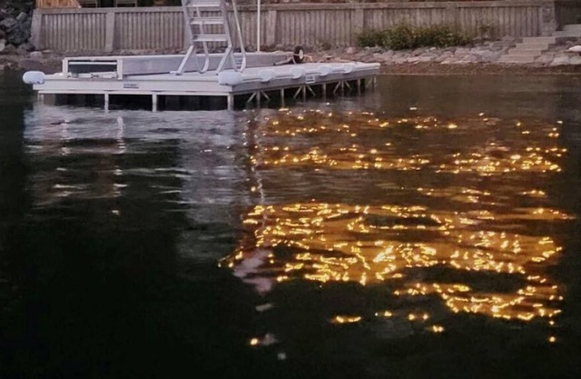 Water's Edge - Waterfront - Shuswap Vacations & Sledding Accommodation
