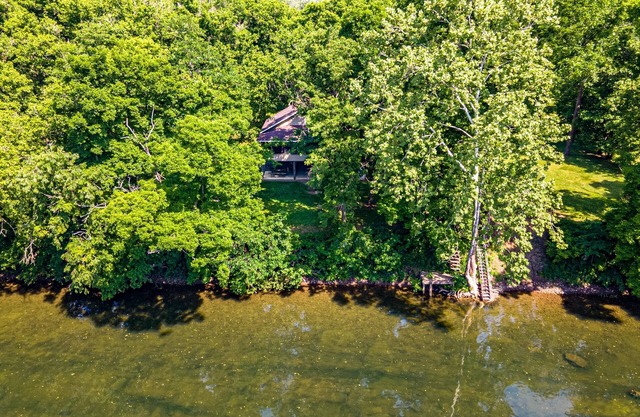 Waterfront Cabin - Family and Dog Friendly