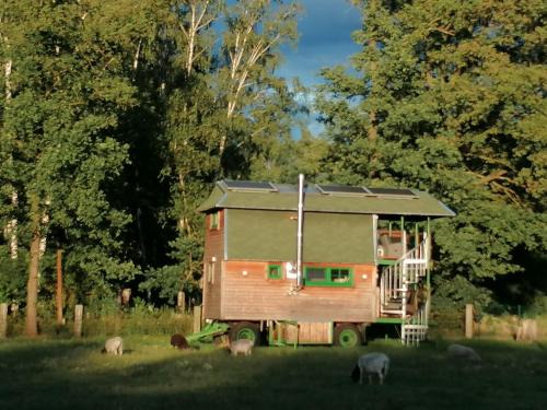 Weidmannsruh Natur pur - exklusives Tiny house