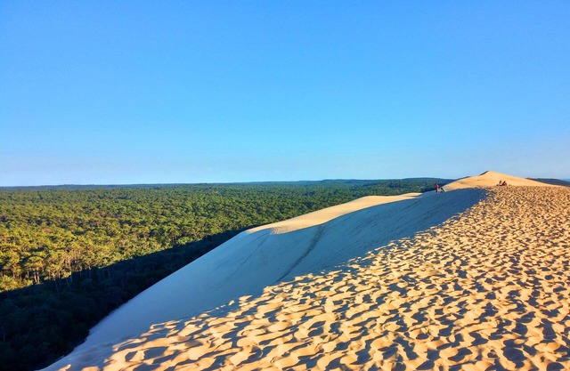 Welcome to Mobilandes Sanguinet in Nouvelle Aquitaine.