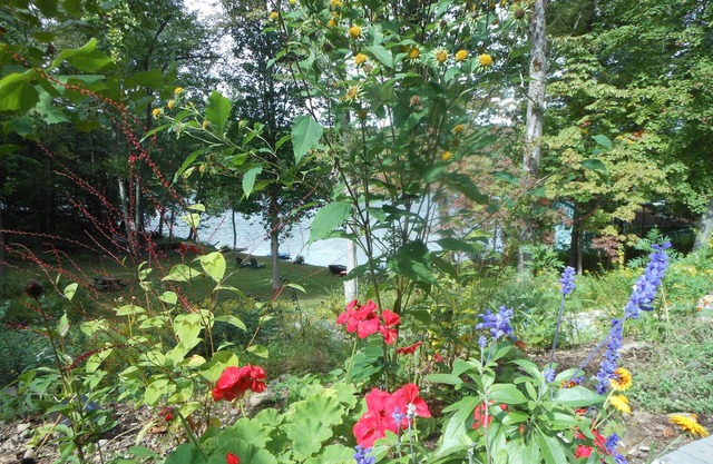WELCOME TO THE COUNTRY - LAKE FRONT PROPERTY - THE FOX DEN STUDIO