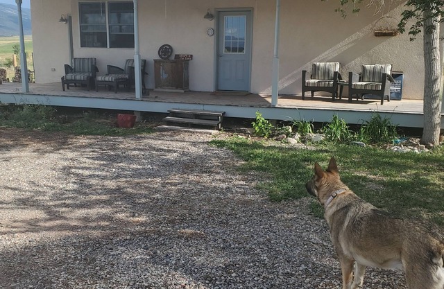 Welcome to the Ranch!