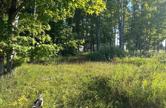 Welcoming campsites in heart of the UP
