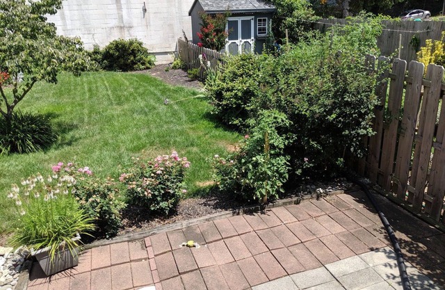 West Chester Borough House with backyard just 2 blocks from center of town!