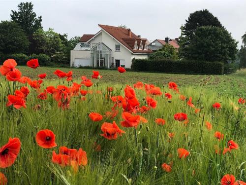 WG 1 Between Teutoburger, City and Uni