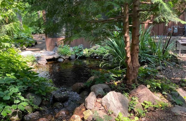 Where cabin coziness meets near-city living convenience.