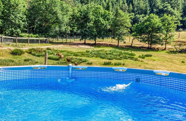 While swimming in the garden pool, watch the animals in the adjacent wildlife enclosure.