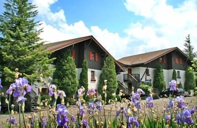 Whistlepunk 40 Bavaria`s Finest-1 bedroom with loft, Slope Side