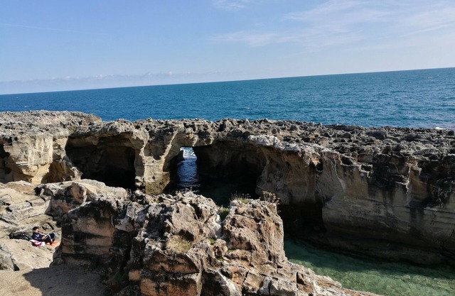 Whole ideal apartment for two families