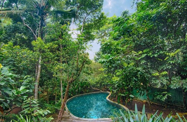 Wild Nest Villa | Modern 2 Bedrooms Villa with a Private Pool
