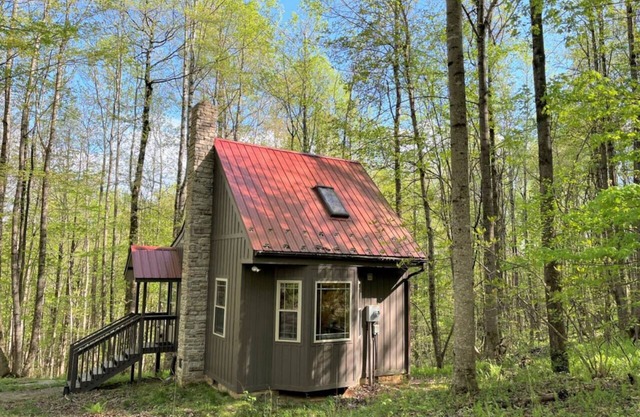 Wildcat Forest Cabin by Buffalo Mountain Getaway