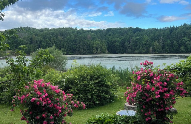 Wildlife Lakeside Cottagenbeautiful views, amazing wildlife, great location