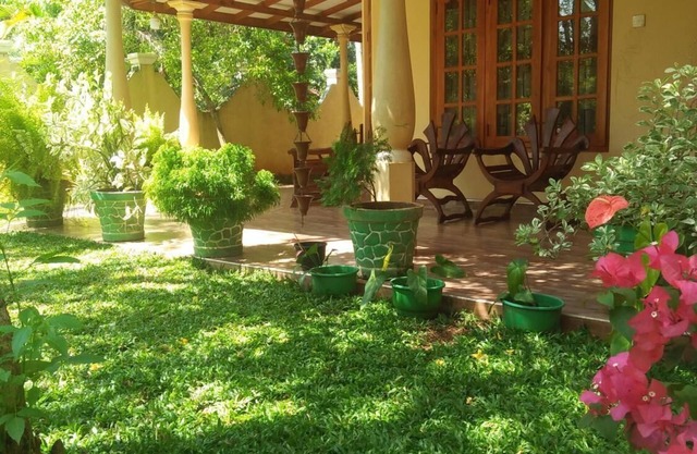 Wildlife Safari House