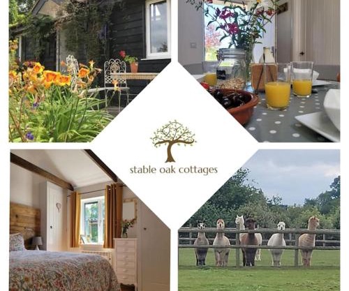 Willow Cottage in idyllic location