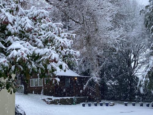 Willow Lodge