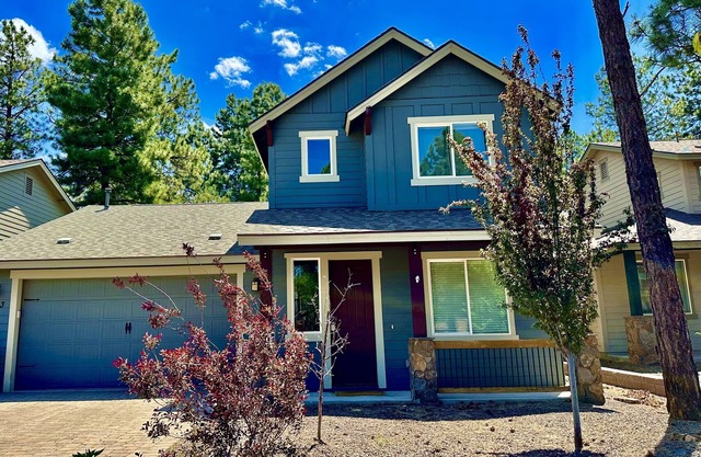 Winter in the Mountains! Dog Friendly Vacation Home 5 Star Guest Reviews