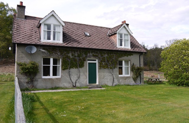 Wisdomhowe is a traditional cottage, surrounded by a birch woodland.