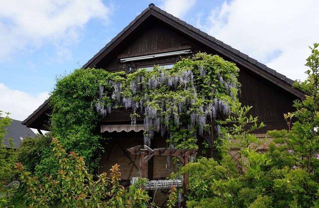 Wohnung an der Ostseeküste