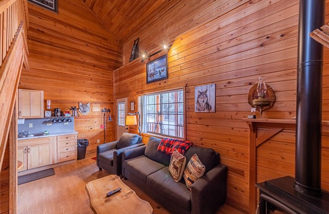 Wolves Den Cabin,WIFI, game room - Backs Tonto Forest, stocked kitchen, heat AC