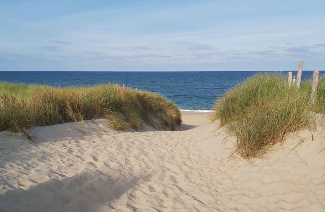 Wonderful stay near the beach/sea