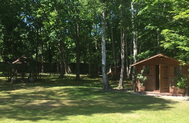 Wooden chalet in the middle of a wooded park