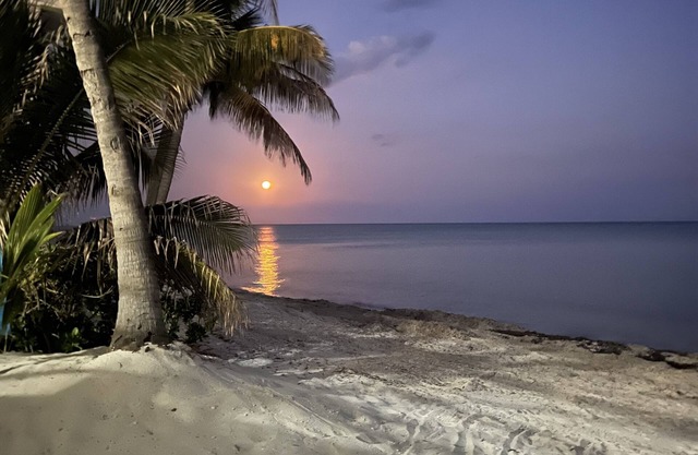 World class ocean views on a sugar sand beach!